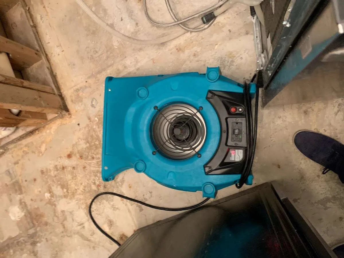 Air mover drying equipment for Mold Remediation & Removal in West Slope